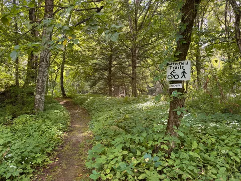 A hand-painted 'Butterfield Trails' trailhead sign nailed to a tree at the start of a wooded footpath.