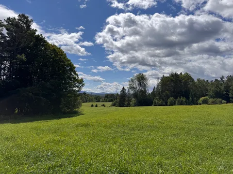 An open grassy field ringed by trees with mountain views in the distance, near Rich's Hollow.